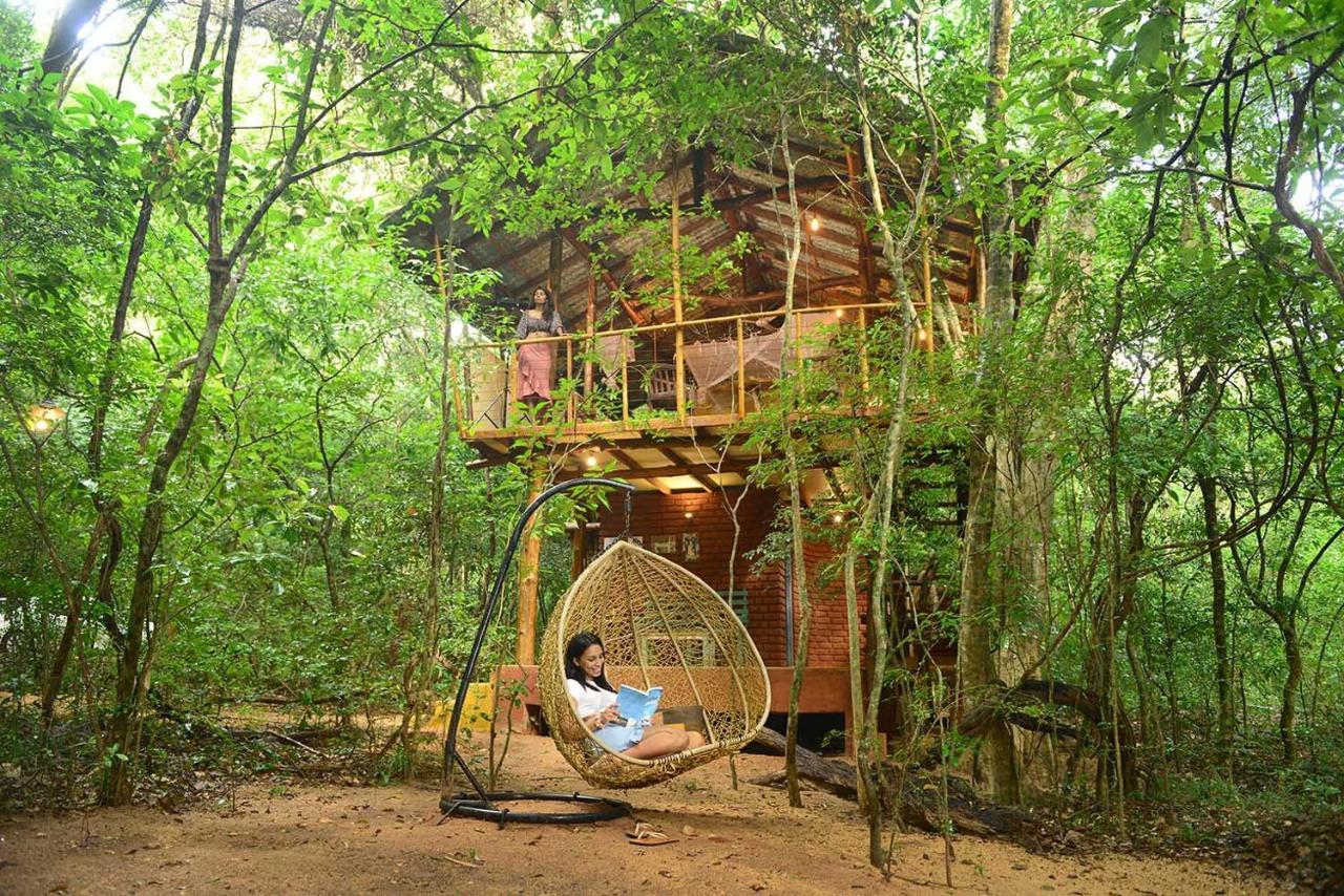 Villa Back Of Beyond - Pidurangala à Sigirîya Extérieur photo